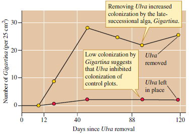 Suppose Gigartina had colonized the plots where Sousa had removed Ulva and where he had left Ulva in place at the same rates (see fig. 20.21). This result would be consistent with which successional model Figure 20.21 Evidence for inhibition of later successional species (data from Sousa 1979a).