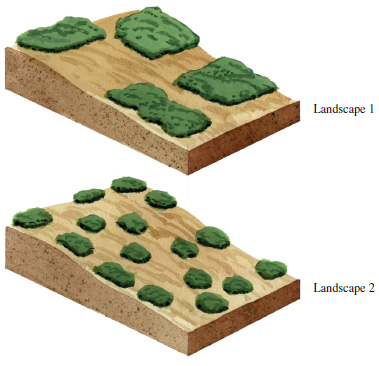 The green areas represent forest fragments surrounded by agriculture. Landscapes 1 and 2 contain the same total forest area. Will landscape 1 or 2 contain more forest interior species Explain.   