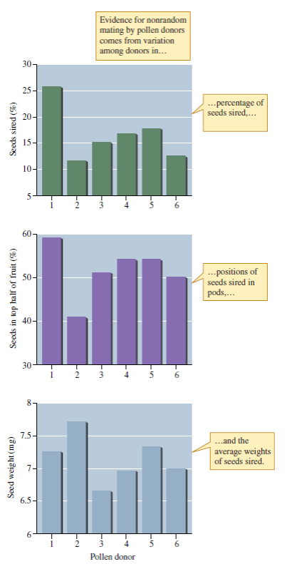 What would you expect to see in figure 8.16 if performance were equal across pollen donors?    Figure 8.16 Evidence for unequal mating success among wild radish pollen donors in a greenhouse environment (data from Marshall 1990).