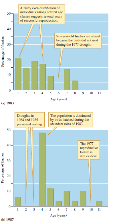 Of the three populations pictured in figures 10.19, 10.20, and 10.21, which is most likely to have a stable age distribution?    Figure 10.19 The age distribution of a white oak, Quercus alba, population in Illinois (data from Miller 1923).    Figure 10.20 Age distribution of a population of Rio Grande cottonwoods, Populus deltoides subsp. wislizenii, near Belen, New Mexico (data from Howe and Knopf 1991).    Figure 10.21 Age distribution of a population of large cactus finches, Geospiza conirostris, on the island of Genovesa in the Galápagos Islands during 1983 ( a ) and 1987 ( b ) (data from Grant and Grant 1989).