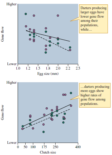 Large darter species produce larger numbers of smaller eggs compared to smaller darter species (see figs. 12.3 12.4). Consequently, would you expect to find more genetic differences along the length of a river system among small darters or large darters? (Hint: Consider fig. 12.5.)    Figure 12.3 Relationship between female darter size and number of eggs. Each point represents a different darter species (data from Turner and Trexler 1998).    Figure 12.4 Relationship between the size of eggs laid by several darter species and the number of eggs laid (data from Turner and Trexler 1998).    Figure 12.5 Egg size, egg number, and gene flow among darter populations (data from Turner and Trexler 1998).
