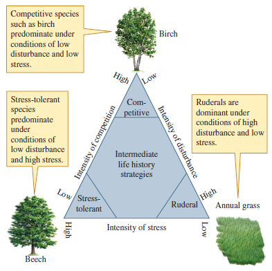 Where would you place the following plant species, in Grime's and in Winemiller and Rose's classifications of life histories (see figs. 12.20 and 12.21)? The plant species lives in an environment where it has access to plenty of water and nutrients but is subject to disturbance by flooding and wind. An average individual produces several million seeds per year and may live several centuries. However, ideal conditions for reproduction by the species occurs only once or twice per decade.    Figure 12.20 Grime's classification of plant life history strategies (after Grime 1979).    Figure 12.21 Classification of life histories based on juvenile survival, l x , fecundity, m x , and age at reproductive maturity, ? (after Winemiller and Rose 1992).