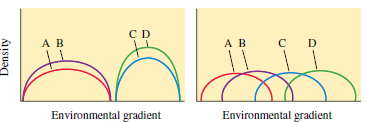 Ecological succession has been compared to the development of an organism and the climax community to a kind of super-organism. F. E. Clements (1916, 1936) was the best-known pro­ponent of this idea, and H. A. Gleason (1926, 1939) the best-known early opponent of the idea of a community as a kind of superorganism. Gleason proposed that species are distributed independently of each other and that most overlaps in distrib­utions are the result of coincidence, not mutual interdepen­dence. Most modern ecologists hold a view more similar to that of Gleason. Which of the following graphs showing hypothet­ical distributions of species along an environmental gradient supports the superorganismic view of communities? How does the other graph support the individualistic view of species held by Gleason? ( A , B, C, and D represent the distributions of species along an environmental gradient.)  <div style=padding-top: 35px> 