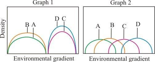 The phenomenon of ecological succession has been compared to the developmental stages of an organism. Both succession and an organism show a beginning and growth over time. The climax community has been referred to as a super organism by F.E. Clements. All the species in the climax community were assumed to be strongly associated and interacting with each other. The groups of species showed narrow overlap with the other groups of species. H.A. Gleason opposed to this concept of super organism for a community. He proposed that each species responds differently to the environment. The species are distributed independently of each other. The overlapping in their distribution is a chance event and not due to their interdependence. The graph 1 and graph2 are illustrated below:   The hypothetical species distribution along an environmental gradient depicted in graph 1 supports the super organismic view of communities. The graph 2 supports the individualistic view of the species. Graph 2 supports the individualistic view of species proposed by Gleason in following ways: • The distribution of species differs along the environmental gradient with few regions of overlap. • The species prefer different environmental gradients. Therefore, appears to be no interdependence or close interactions between the organisms. • The species vary with respect to their tolerance for the environmental gradient.