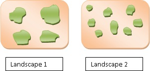 The species living in the interiors of a habitat are called the interior species. The abundance of an interior species depends on the area of the habitat available for these species. The fragmentation of the habitat has been shown by ecologists to decrease the area of an individual habitat patch. Landscapes 1 and 2 have been illustrated below:   Landscape 1 and landscape 2 possess the same total forest area. However, the landscape 2 is more fragmented. Hence, landscape 2 has more edge habitat than the interior habitat. Landscape 1 is less fragmented. Hence it has more interior habitat than the edge habitat. Therefore, out of landscape 1 and 2, landscape 1 will contain more forest interior species.