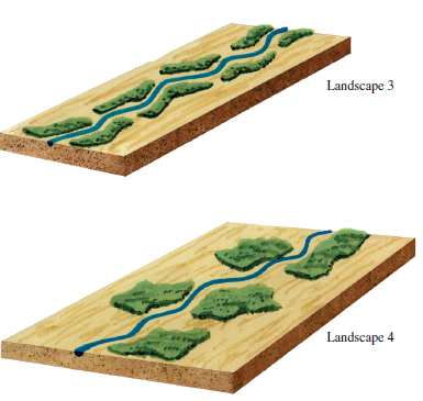 Consider the options for preserving patches of riverside forest shown in landscapes 3 and 4. Again, the two landscapes contain the same total area of forest but the patches in the two landscapes differ in shape. Which of the two would be most dominated by forest edge species?