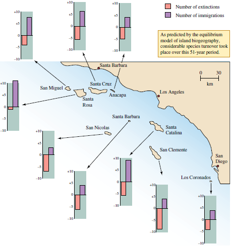 What result would have been grounds for Diamond to reject the equilibrium model of island biogeography based on his studies of the California Channel Islands (see fig. 22.10)? Figure 22.10 Extinction and immigration of bird species on the California Channel Islands between 1917 and 1968 (data from Diamond 1969).  