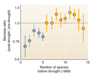 Uncertainty is a key idea in science. We can rarely have absolute proof in experimental results, because our conclusions rest on observations, but we only have a small sample of all possible observations. Because uncertainty is always present, it's useful to describe how much uncertainty you have, relative to what you know. It might seem ironic, but in science, knowing about uncertainty increases our confidence in our conclusions. The graph in this chapter's opening case study is reproduced at right. This graph shows change in biomass within small, square plots (see plots in figure) after a severe drought. Because more than 200 replicate (repeated test) plots were used, this study was able to give an estimate of uncertainty. This uncertainty is shown with error bars. In this graph, dots show means for groups of test plots; the error bars show the range in which that mean could have fallen, if there had been a slightly different set of test plots. Often we don't graph uncertainty measures because we want to communicate the overall trend in simplified form. (How often have you seen error bars in a graph in the newspaper ) But error estimates are important if you really want to give readers confidence in your story. Let's examine the error bars in this graph. To begin, as always, make sure you understand what the axes show. This graph is a relatively complex one, so be patient.     How many of the blue error bars overlap the dotted line (no change in biomass) How many of the yellow error bars overlap the dotted line Are there any yellow bars entirely above the 0 line  Where the error bars fall entirely below 1, we can be quite sure that, even if we had had a different set of plots, the afterdrought biomass would still have declined. Where the error bars include a value of 1, the averages are not significantly different from 1 (or no change). The conclusions of this study rest on the fact that the blue bars showed nearly-certain declines in biomass, while the yellow (higher-diversity) bars showed either no change or increases in biomass. Thus the whole paper boiled down to the question of which error bars crossed the dotted line! But the implications of the study are profound: they demonstrate a clear relationship between biodiversity and recovery from drought, at least for this study. One of the exciting things about scientific methods, and of statistics, is that they let us use simple, unambiguous tests to answer important questions. FIGURE  Experimental grassland plots at Cedar Creek.   