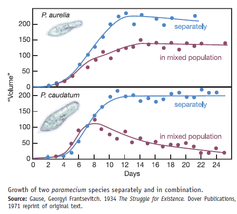 In a classic experiment on competition between species for a common food source, the Russian microbiologist G. F. Gause grew populations of different species of ciliated protozoans separately and together in an artificial culture medium. He counted the number of cells of each species and plotted the total volume of each population. The organisms were Paramecium caudatum and its close relative, Paramecium aurelia. He plotted the aggregate volume of cells rather than the total number in each population because P. caudatum is much larger than P. aurelia (this size difference allowed him to distinguish between them in a mixed culture). The graphs in this box show the experimental results. As we mentioned earlier in the text, this was one of the first experimental demonstrations of the principle of competitive exclusion. After studying these graphs, answer the following questions.     How do you read these graphs What is shown in the top and bottom panels