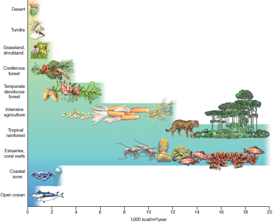 Which world ecosystems are most productive in terms of biomass (fig.) Which are least productive What units are used in this figure to quantify biomass accumulation  FIGURE  Relative biomass accumulation of major world ecosystems. Only plants and some bacteria capture solar energy. Animals consume biomass to build their own bodies.   
