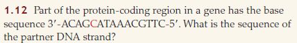 If a mutation occurs in the DNA sequence in Problem 1.12 in which the red C is replaced with T, what amino acid sequence would result? Reference:   