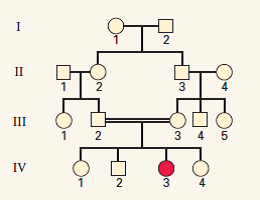 The pedigree below is for a rare autosomal recessive trait with complete penetrance. What is the probability that at least one of IV-1, IV-2, and IV-4 is a carrier?