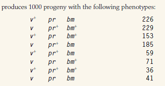In corn, the genes v (virescent seedlings), pr (red aleurone), and bm (brown midrib) are all on chromosome 5, but not necessarily in the order given. The cross         (a) Determine the gene order, the recombination frequencies between adjacent genes, the coefficient of coincidence, and the interference. (b) Explain why, in this example, the recombination frequencies are not good estimates of map distance.