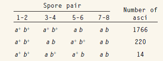 The following classes and frequencies of ordered tetrads were obtained from the cross in Neurospora. (Only one member of each pair of spores is shown.) What is the order of the genes in relation to the centromere?