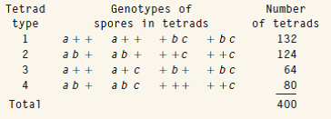 The yeast Saccharomyces cerevisiae has unordered tetrads. In a cross carried out to study the linkage relationships among three genes, the tetrads in the accompanying table were obtained. The cross was between a strain of genotype + b c and one of genotype a + +. (a) From these data determine which, if any, of the genes are linked. (b) For any linked genes, determine the map distances.   