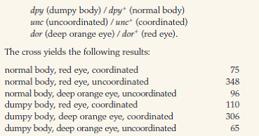 Janet is performing a test cross to determine the linkage relationships between three Drosophila genes, dpy, unc and dor. Her entire grade depends on getting this right! She testcrosses females heterozygous for the recessive alleles:     (a) What is the genotype of the     heterozygous female? (b) Construct a map of the region indicating the order of the genes and the distances (in map units) between them. (c) What is the interference in this region?
