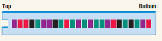 For the fluorescent color coding A = green, T = red, G = black, and C = purple, deduce the DNA sequence indicated in the accompanying gel diagram.