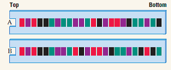 For the fluorescent color coding A = green, T = red, G = black, and C = purple, deduce the DNA sequence in each of the accompanying gel diagrams. How does the sequence in gel A differ from that in gel B?   