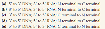 The concept that a strand of DNA serves as a template for transcription of an RNA, which is translated into a polypeptide, is known as the central dogma of gene expression. All three types of molecules have a polarity. In the DNA template and the RNA transcript, the polarity is determined by the free 3' or 5' group at opposite ends of the polynucleotide chains; in a polypeptide chain, the polarity is determined by the free amino group (N terminal) or carboxyl group (C terminal) at opposite ends. Each of the following statements describes one possible polarity of the DNA template, the RNA transcript, and the polypeptide chain, respectively, in temporal order of use as a template or in synthesis. Which statement is correct?
