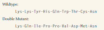 A double mutant produced by recombination contains two single nucleotide frameshifts separated by about 20 base pairs. The first is an insertion, the second a deletion. The amino acid sequences of the wildtype and mutant polypeptide in this part of the protein are as follows:     What are the original and the double-mutant mRNA sequences? Which nucleotide in the wildtype sequence is the frameshift addition? Which nucleotide in the double-mutant sequence is the frameshift deletion? (In working this problem, you will find it convenient to use the conventional symbols Y for unknown pyrimidine, R for unknown purine, N for unknown nucleotide, and H for A or C or T.)