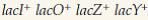 Cells of genotype     Hfr are mated with     . In the absence of any inducer in the medium, no b-galactosidase is made. However, when a     Hfr strain is mated with an     under the same conditions, ?-galactosidase is synthesized for a brief period after the lac operon has been transferred. Explain this observation.