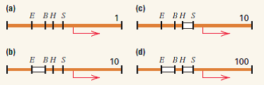 In studies of the operator region of an inducible operon in E. coli , the four constructs shown below were examined for level of transcription in vitro. The number associated with each construct is the relative level of transcription observed in the presence of the repressor protein. The symbols E, B, H, and S stand for the restriction sites Eco RI, Bam HI, Hind III, and Sac I. Construct (a) is the wildtype operator region, and in parts (b-d) the open boxes indicate restriction fragments that were deleted. What hypothesis about repressor-operator interactions can explain these results? How could this hypothesis be tested?   
