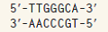 A cytosine deamination occurs in the top strand of the following sequence:   (a) If there is no repair before the next round of DNA replication, what is the sequence of the affected strand and its newly replicated complementary strand? (b) If the damaged base is repaired by uracil DNA glycosylase before the next round of DNA replication, what is the sequence of the affected strand and its newly replicated complementary strand? (c) If the uracil DNA glycosylase repair mechanism is in activated and the mismatch repair process repairs the damaged base before the next round of DNA replication, what is the sequence of the affected strand and its newly replicated complementary strand?<div style=padding-top: 35px> 