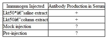 One of the major causes of sickness, death, and economic loss in the cattle industry is Mannheimia haemolytica , which causes bovine pasteurellosis, or shipping fever. Noninvasive delivery of a vaccine using transgenic plants expressing immunogens would reduce labor costs and trauma to livestock. An early step toward developing an edible vaccine is to determine whether an injected version of an antigen (usually a derivative of the pathogen) is capable of stimulating the development of antibodies in a test organism. The following table assesses the ability of a transgenic portion of a toxin (Lkt) of M. haemolytica to stimulate development of specific antibodies in rabbits. (a) What general conclusion can you draw from the data? (b) With regards to development of a usable edible vaccine, what work remains to be done? * Lkt50 is a smaller derivative of Lkt that lacks all hydrophobic regions. + indicates at least 50 percent neutralization of toxicity of Lkt; - indicates no neutralization activity. Source: Modified from Lee et al. 2001. Infect. and Immunity 69: 5786-5793.
