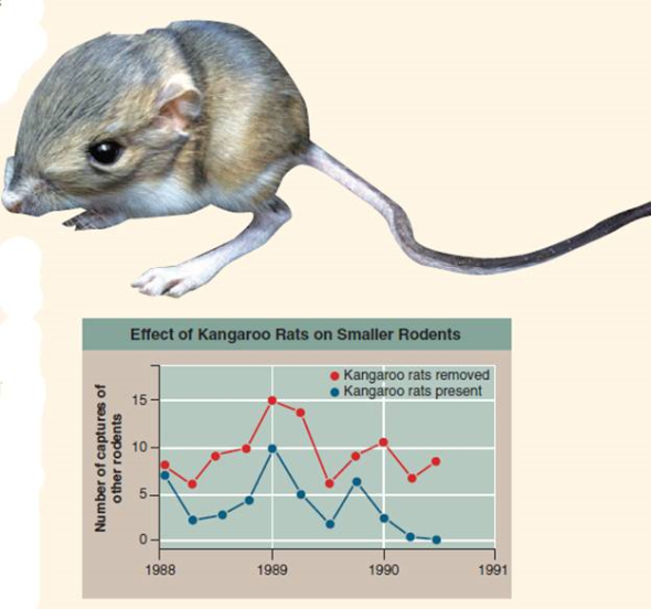 Does the Presence of One Species Limit the Population Size of Others?  Implicit in Darwin's theory of evolution is the idea that species in nature compete for limited resources. Does this really happen? Some of the best evidence of competition between species comes from experimental field studies, studies conducted not in the laboratory but out in natural populations. By setting up experiments in which two species occur either alone or together, scientists can determine whether the presence of one species has a negative impact on the size of the population of the other species. The experiment discussed here concerns a variety of seed-eating rodents that occur in North American deserts. In 1988, researchers set up a series of 50-meter × 50-meter enclosures to investigate the effect of kangaroo rats on smaller seed-eating rodents. Kangaroo rats were removed from half of the enclosures, but not from the other enclosures. The walls of all the enclosures had holes that allowed rodents to come and go, but in plots without kangaroo rats the holes were too small to allow the kangaroo rats to enter. The graph to the right displays data collected over the course of the next three years as researchers monitored the number of the smaller rodents present in the enclosures. To estimate the population sizes, researchers determined how many small rodents could be captured in a fixed interval. Data were collected for each enclosure immediately after the kangaroo rats were removed in 1988, and at three-month intervals thereafter. The graph presents the relative population size-that is, the total number of captures averaged over the number of enclosures (an average is the numerical mean value, calculated by adding a list of values and then dividing this sum by the number of items in the list. For example, if a total of 30 rats were captured from 3 enclosures, the average would be 10 rats). As you can see, the two kinds of enclosures do not contain the same number of small rodents.    Making Inferences  a. What precisely is the observed impact of kangaroo rats on the population size of small rodents? b. Examine the magnitude of the difference between the number of small rodents in the two plots. Is there a trend?