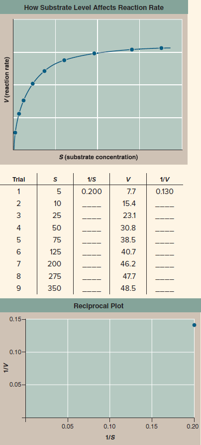 Do Enzymes Physically Attach to Their Substrates?  When scientists first began to examine the chemical activities of organisms, no one knew that biochemical reactions were catalyzed by enzymes. The first enzyme was discovered in 1833 by French chemist Anselme Payen. He was studying how beer is made from barley: First barley is pressed and gently heated so its starches break down into simple two-sugar units; then yeasts convert these units into ethanol. Payen found that the initial breakdown requires a chemical factor that is not alive and that does not seem to be used up during the process-a catalyst. He called this first enzyme diastase (we call it amylase today). Did this catalyst operate at a distance, increasing reaction rate all around it, much as raising the temperature of nearby molecules might do? Or did it operate in physical contact, actually attaching to the molecules whose reaction it catalyzed (its substrate)? Henri. He saw that the hypothesis that an enzyme physically binds to its substrate makes a clear and testable prediction: In a solution of substrate and enzyme, there must be a maximum reaction rate. When all the enzyme molecules are working full tilt, the reaction simply cannot go any faster, no matter how much more substrate you add to the solution. To test this prediction, Henri carried out the experiment whose results you see in the graph, measuring the reaction rate ( V ) of diastase at different substrate concentrations ( S ).    Drawing Conclusions Does this result provide support for the hypothesis that an enzyme binds physically to its substrate? Explain. If the hypothesis were incorrect, what would you expect the graph to look like?