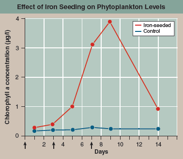 Does Iron Limit the Growth of Ocean Phytoplankton?  Phytoplankton are microscopic organisms that live in the oceans, carrying out much of the earth's photosynthesis. The photo below is of Chaetoceros, a phytoplankton. Decades ago, scientists noticed dead zones in the ocean where little photosynthesis occurred. Looking more closely, they found that phytoplankton collected from these waters are not able to efficiently fix CO 2 into carbohydrates. In an attempt to understand why not, the scientists hypothesized that lack of iron was the problem (the electron transport system requires iron to function properly), and they predicted that fertilizing these ocean waters with iron could trigger an explosively rapid growth of phytoplankton. To test this idea, they carried out a field experiment, seeding large areas of phytoplankton-poor ocean waters with iron crystals to see if this triggered phytoplankton growth. Other similarly phytoplanktonpoor areas of ocean were not seeded with iron and served as controls. In one such experiment, the results of which are presented in the graph to the right, a 72-km 2 grid of phytoplankton-deficient ocean water was seeded with iron crystals and a tracer substance in three successive treatments, indicated with arrows on the x axis of the graph (on days 0, 3, and 7). The multiple seedings were carried out to reduce the effect of the iron crystals dissipating over time. A smaller control grid, 24 km 2 , was seeded with just the tracer substance. To assess the numbers of phytoplankton organisms carrying out photosynthesis in the ocean water, investigators did not actually count organisms. Instead, they estimated the amount of chlorophyll a in water samples as an easier-tomeasure index. An index is a parameter that accurately reflects the quantity of another, less easily measured parameter. In this instance, the level of chlorophyll a , easily measured by monitoring the wavelengths of light absorbed by a liquid sample, is a suitable index of phytoplankton, as this pigment is found nowhere else in the ocean other than within phytoplankton. Chlorophyll a measurements were made periodically on both test and control grids for 14 days. The results are plotted on the graph. Red points indicate chlorophyll a concentrations in iron-seeded waters; blue points indicate chlorophyll a levels in the control grid waters that were not seeded.      Interpreting Data Comparing the red line to the blue line, about how many times more numerous are phytoplankton in iron-seeded waters on each of the three days of seeding?