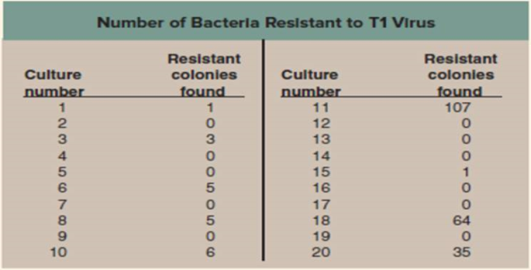 Are Mutations Random or Directed by the Environment?  Once biologists appreciated that Mendelian traits were in fact alternative versions of DNA sequences, which resulted from mutations, a very important question arose and needed to be answered: Are mutations random events that might happen anywhere on a DNA chromosome, or are they directed to some degree by the environment? Do the mutagens in cigarettes, for example, damage DNA at random locations, or do they preferentially seek out and alter specific sites such as those regulating the cell cycle? This key question was addressed and answered in an elegant and deceptively simple experiment carried out in 1943 by two of the pioneers of molecular genetics, Salvadore Luria and Max Delbruck. They chose to examine a particular mutation that occurs in laboratory strains of the bacterium Escherichia coli. These bacterial cells are susceptible to T1 viruses, tiny chemical parasites that infect, multiply within, and kill the bacteria. If 10 5 bacterial cells are exposed to 10 10 T1 viruses, and the mixture spread on a culture dish, not one cell grows-every single E. coli cell is infected and killed. However, if you repeat the experiment using 109 bacterial cells, lots of cells survive! When tested, these surviving cells prove to be mutants, resistant to T1 infection. The question is, did the T1 virus cause the mutations, or were the mutations present all along, too rare to be present in a sample of only 10 5 cells but common enough to be present in 10 9 cells? To answer this question, Luria and Delbruck devised a simple experiment they called a fluctuation test, illustrated here. Five cell generations are shown for each of four independent bacterial cultures, all tested for resistance in the fifth generation. If the T1 virus causes the mutations (top row), then each culture will have more or less the same number of resistant cells, with only a little fluctuation (that is, variation among the four). If, on the other hand, mutations are spontaneous and so equally likely to occur in any generation, then bacterial cultures in which the T1 resistance mutation occurs in earlier generations will possess far more resistant cells by the fifth generation than cultures in which the mutation occurs in later generations, resulting in wide fluctuation among the four cultures. The table presents the data they obtained for 20 individual cultures.      Interpreting Data What is the mean number of T1-resistant bacteria found in the 20 individual cultures?