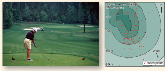 Can Modified Genes Escape from GM Crops?  On page 237, the question of whether gene flow of GM crops posed a problem to the environment was discussed. A field experiment conducted in 2004 by the Environmental Protection Agency assessed the possibility that introduced genes could pass from genetically modified golf course grass to other plants. Investigators introduced a gene conferring herbicide resistance (the EPSP synthetase gene for resistance to glyphosate) into golf course bentgrass, Agrostis stolonifera, and then looked to see if the gene passed from the GM grass to other plants of the same species, and also if it passed to other related species. The map at the bottom displays the setup of this elaborate field study. A total of 178 A. stolonifera plants were placed outside the golf course, many of them downwind. An additional 69 bentgrass plants were found to be already growing downwind, most of them the related species A. gigantea. Seeds were collected from each of these plants, and the DNA of resulting seedlings tested for the presence of the gene introduced into the GM golf course grass. In the graph, the upper red histogram (a histogram is a bar graph that sorts data into a series of discontinuous categories, the value of each bar representing the number of individuals in a category, or, as in this case, the average value of entries in that category) presents the relative frequency with which the gene was found in A. stolonifera plants located at various distances from the golf course. The lower blue histogram does the same for A. gigantea plants.      Applying Concepts  a. Reading a Histogram. Does the gene conferring resistance to herbicide pass to other plants of this species, A. stolonifera ? To individuals of the related species A. gigantea ? b. What is the maximal distance over which the herbicide resistance gene is transferred to other plants of this species? Of the related species? What are these distances, expressed in miles (km × 0.62 = mile)?