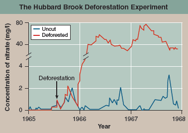 Does Clear-Cutting Forests Cause Permanent Damage?  The lumber industry practice called clear-cutting has been common in many states. Loggers find it more efficient to simply remove all trees from a watershed and sort the logs out later than to selectively cut only the most desirable mature trees. While the open cuts seem a desolation to the casual observer, the loggers claim that new forests can become established more readily in the open cut as sunlight now more easily reaches seedlings at ground level. Ecologists counter that clear-cutting fundamentally changes the forest in ways which cannot be easily reversed. Who is right? The most direct way to find out is to try it: Clearcut an area and watch it very carefully. Just this sort of massive field test was carried out in a now-classic experiment at the Hubbard Brook Experimental Forest in New Hampshire. Hubbard Brook is the central stream of a large watershed that drains a region of temperate deciduous forest in northern New Hampshire. The research team, led by then-Dartmouth College professors Herbert Bormann and Gene Likens, first gathered a great deal of information about the forest watershed. Starting in 1963, they censused the trees, measured the flow of water through the watershed, and carefully documented the levels of minerals and other nutrients in the water leaving the ecosystem via Hubbard Brook. To keep track, they constructed concrete dams across each of the six streams that drain the forest and monitored the runoff, chemically analyzing samples. The undisturbed forest proved very efficient at retaining nitrogen and other nutrients. The small amounts of nutrients that entered the ecosystem in rain and snow were approximately equal to the amounts of nutrients that ran out of the valleys into Hubbard Brook. Now came the test. In the winter of 1965, the investigators felled all the trees and shrubs in 48 acres drained by one stream (as shown in the photo) and examined the water running off. The immediate effect was dramatic: The amount of water running out of the valley increased by 40%. Water that otherwise would have been taken up by vegetation and released into the atmosphere through evaporation was now simply running off. It was clear that the forest was not retaining water as well, but what about the soil nutrients, the key to future forest fertility? The red line in the graph above shows nitrogen minerals leaving the ecosystem in the runoff water of the stream draining the clear-cut area; the blue line shows the nitrogen runoff in a neighboring stream draining an adjacent uncut portion of the forest.      Drawing Conclusions  a. What is the impact of this forest's trees upon its ability to retain nitrogen? b. Has clear-cutting harmed this ecosystem? Explain.