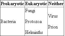 To properly answer this question, we discuss microbiology largely through the different organisms we study as microbiologists and organize the major groups based on the types of cells they possess (prokaryotic or eukaryotic). Using the table below, we will construct a concept map around this idea. We can also consider microbiology by breaking it down into particular fields of microbe study, such as bacteriology (bacteria), virology (viruses), mycology (fungi), protozoology (protozoa), phycology (algae), and parasitology (infectious eukaryotes). All of these groups are included because they are too small to be seen without imaging technology such as light microscope or an electron microscope.   The concept map will look as follows:  