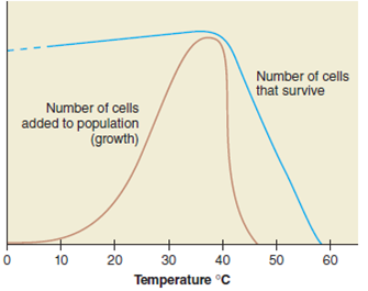 Explain this graph that charts the reactions of a mesophilic bacterium to temperature. Blue shows the survival curve and brown the growth curve.  <div style=padding-top: 35px> 