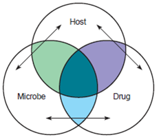 Compose a one- or two-paragraph answer that includes the factual information needed to completely address the question. Check Your Progress questions can also be used for writing-challenge exercises. Using the diagram as a guide, briefly explain how the three factors in drug therapy interact.  <div style=padding-top: 35px> 