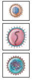 Each numbered figure 1-4 represents a cell that provides an immune defense. Each lettered figure A-D shows a pathogenic microbe. Name the type of defense and match it with its primary target microbe and effects.   (1) Figure 14.19   (2) Page 435   (3) Page 435   (4) Page 435   A Figure 18.8   B Figure 23.21 inset   C Table 25.1   D Opener, Chapter 14<div style=padding-top: 35px> 