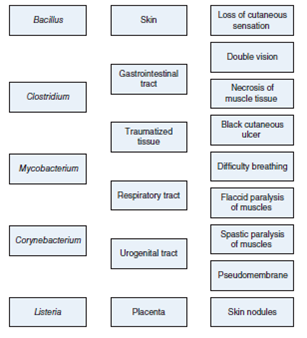 An Introduction to Concept Mapping found at http:\\www.mhhe.com\talaro9 provides guidance for working with concept maps. Supply your own linking lines and phrases in this concept map.  