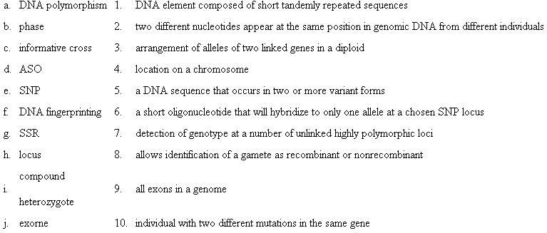 Choose the phrase from the right column that best fits the term in the left column.