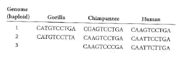 Humans and gorillas last shared a common ancestor about 10 million years ago. Humans and chimps last shared a common ancestor about 6 million years ago. The table below shows the corresponding genomic region from two gorilla gametes, three chimpanzee gametes, and three human gametes. a. Draw a cladogram similar to that in Fig. 10.6b to show the evolutionary relationships among these three species. b. The data reveal six polymorphisms among these eight genomes, at positions 2 (A or G), 3 (A or T), 4 (G or T), 7 (C or T), 8 (C or T), and 9 (G or T). On your cladogram, indicate approximately when the mutations that produced each of these polymorphisms occurred. For each allele, state whether it is ancestral, derived, or that you can't tell. c. Infer the sequences in (i) the last common ancestor of humans and chimpanzees, and (ii) the last common ancestor of all three species. Use a question mark ( ) to represent any uncertainty.   Figure 10.6 Inferring the evolutionary history of SNPs. (b) Cladogram (diagram of evolutionary lineages). Locus 1 ( light blue ) differs between chimps and humans, but all humans have the same allele (G).The mutation causing the locus 1 difference must have occurred since the species diverged, either in the lineage leading to chimps or that leading to humans; the allele at this position in the most recent common ancestor of the two species cannot be determined. At locus 2 ( orange ) , the C allele shared between chimps and some humans must be ancestral, while the T allele in other humans must be derived (that is, caused by a recent mutation specifically in the lineage of some humans).  <div style=padding-top: 35px> 