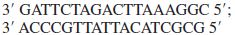 Which of the following set(s) of primers could you use to amplify the target DNA sequence below, which is part of the last protein-coding exon of the CFTR gene   a.   b.   c.   d.  <div style=padding-top: 35px> 