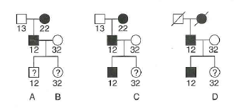 Problem show that you can make predictions about a child's genotype by genotyping linked markers even if you don't examine directly the disease-causing mutation. This method can be valuable for diseases showing high allelic heterogeneity if the linkage is extremely tight. The pedigrees indicated here were obtained with three unrelated families whose members express the same completely penetrant disease caused by a dominant mutation that is linked at a distance of 10 cM from an SSR marker locus with three alleles numbered 1, 2, and 3. The SSR alleles present within each live genotype are indicated below the pedigree symbol. The phenotypes of the newly born labeled individuals-A, B, C, and D-are unknown.   a. What is the probability of disease expression in each of these newborn babies b. Why would a human geneticist be unlikely to use this SSR marker for diagnosis of the genetic disease<div style=padding-top: 35px> 