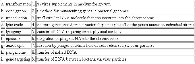 Choose the phrase from the right column that best fits the term in the left column.  <div style=padding-top: 35px> 