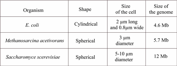 In the given data, there are three major criteria are given regarding         If we must determine an unknown organism based on given descriptions, then if the genome of the organism is having introns then it might be Archaean or eukaryote but not bacterium because bacterium doesn't contain any introns. Shape of the organism cannot be used as criteria for determination because it is not the perfect description of any organism to determine its class. Now we must distinguish between Archaean and eukaryote then size of organism or genome size is the best way to determine between them because size of eukaryote is bigger than Archaean in both respects i.e. organism size as well as genome size. Hence in this way, we can determine the uncharacterized microorganism based on given descriptions.