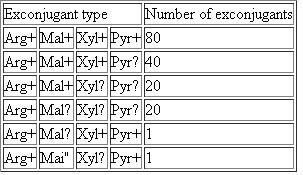 The Problem require you to diagram recombination events that can replace specific genes on the chromosome of a recipient cell with copies of those genes introduced from a donor cell. As seen in the solution to Solved Problem I, only an even number of crossovers can produce viable recombinant chromosomes. Gene mapping is simplified if you remember that progeny classes that result from four crossovers are found much less frequently than progeny classes that require two crossovers. One issue with interrupted-mating experiments such as that in Problem 17 is that gene order may be ambiguous if the genes are close together. Another shortcoming is that such experiments do not provide accurate map distances. The reason is that researchers select for the first Hfr marker transferred into the recipient, but the recovery of F exconjugants with a later Hfr marker is complex, depending both on transfer of the marker into the cell and on crossovers that transfer the marker into the recipient chromosome. To make more accurate maps, bacterial geneticists often do Hfr × F crosses in a different way: They select for exconjugants that contain a late Hfr marker, and then screen for the presence of the earlier markers. This method ensures that all of the markers have entered the F cell, so relative gene distances now solely reflect crossover frequencies. Furthermore, gene order is clarified by considering the crossovers responsible for each class of exconjugants. As an example, suppose you performed the same cross as in Problem 17, but you selected for Arg 1 exconjugants, and then screened them for the earlier Hfr markers Mal + Xyl + and Pyr +. You obtained the following data:   a. Explain why four of the exconjugant types are much more frequent than the other two. b. What can you conclude about the relative distances between the four genes c. The data allow you to estimate one other relevant genetic distance. Explain. Problem 17   Solved Problem I  <div style=padding-top: 35px> 