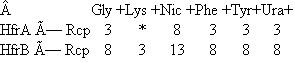 Suppose you have two Hfr strains of E. coli (HfrA and HfrB), derived from a fully prototrophic streptomycin- sensitive (wild-type) F + strain. In separate experiments you allow these two Hfr strains to conjugate with an F - recipient strain (Rcp) that is streptomycin resistant and auxotrophic for glycine (Gly - ), lysine (Lys - ), nicotinic acid (Nic - ), phenylalanine (Phe - ), tyrosine (Tyr - ). and uracil (Ura - ). By using an interrupted mating protocol you determined the earliest time after mating at which each of the markers can be detected in the streptomycin-resistant recipient strain, as shown here.   (The * indicates that no Lys + cells were recovered in the 60 minutes of the experiment.) a. Draw the best map you can from these data, showing the relative locations of the markers and the origins of transfer in strains HfrA and HfrB. Show distances where possible. b. To resolve ambiguities in the preceding map, you studied cotransduction of the markers by the generalized transducing phage P1. You grew phage P1 on strain HfrB and then used the lysate to infect strain Rcp. You selected 1000 Phe + clones and tested them for the presence of unselected markers, with the following results:   Draw the order of the genes as best you can based on the preceding cotransduction data. c. Suppose you wanted to use generalized transduction to map the gly gene relative to at least some of the other markers. How would you modify the co- transduction experiment just described to increase your chances of success Describe the composition of the medium you would use.<div style=padding-top: 35px> 