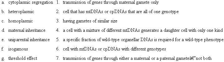 Choose the phrase from the right column that best fits the term in the left column.  