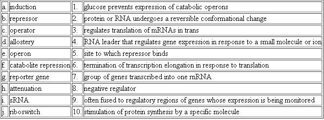 For each of the terms in the left column, choose the best matching phrase in the right column.  