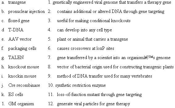 Match each of the terms in the left column to the best-fitting phrase in the right column.